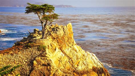 Monterey Bay California Coast The Nature Seeker