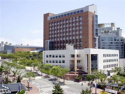 A true educational pioneer, korea university was the 1st university to offer law, journalism and economics courses in the country. Universities in Busan, South Korea for International Students