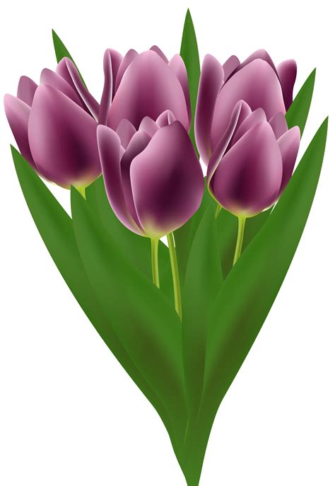 Bouquet Clipart Tulip Bouquet Tulip Transparent Free For Download On