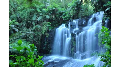 🔥 Download Tropical Rain Forest 4k Waterfall Wallpaper By Chads36