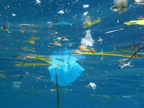 Fighting Plastic Pollution In The Mediterranean Fondation Didier Et
