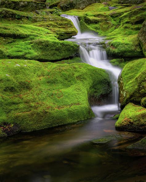 Green Moss Falls Photograph By Bill Wakeley Fine Art America