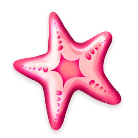 Été Mer Beach Rose Starfish Png Nager Au Soleil Vacances Fichier