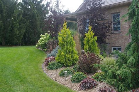 Dwarf Pine Trees For Landscaping — Randolph Indoor And Outdoor Design