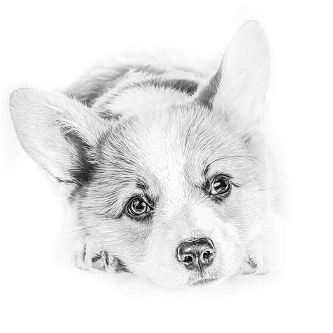 Printable Realistic Dog Coloring Pages