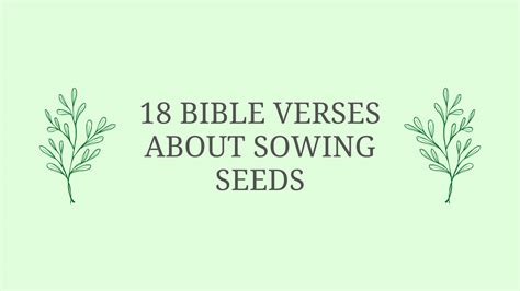 Bible Verses About Sowing Seeds In Faith Blog