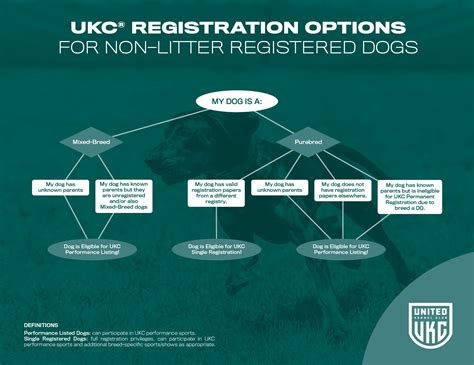 How To Register United Kennel Club Ukc