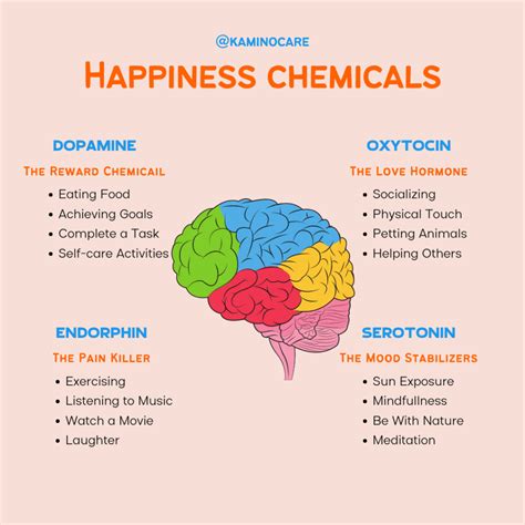 Happiness Chemicals Kamino Care