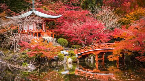 Download 2560x1440 Japan Shrine Pagoda Bridge Stream