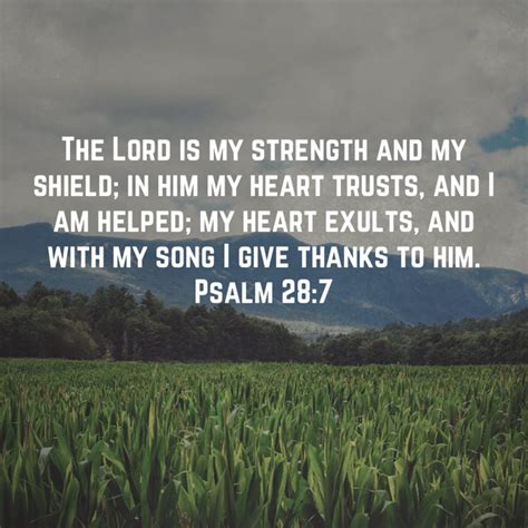 Psalm 287 The Lord Is My Strength And My Shield In Him My Heart