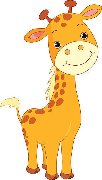 Baby Giraffe Illustrations Royalty Free Vector Graphics