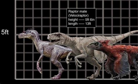 Jurassic Park Raptor Size Comparison Jurassic Park Know Your Meme