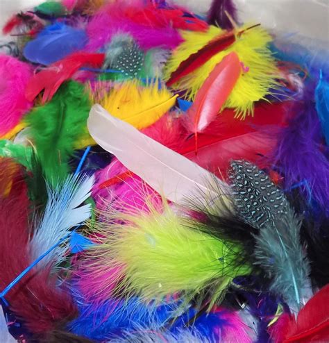 Feather selection of assorted craft feathers