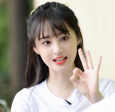 Chinese Actress Zheng Shuang To Be Digitally Removed From Drama Series