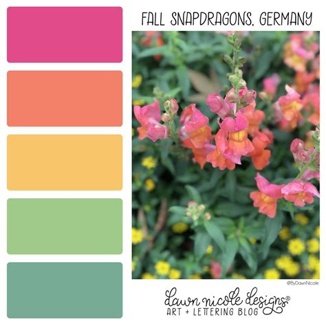 DND Color Palettes. Color Palettes created using photos I ...