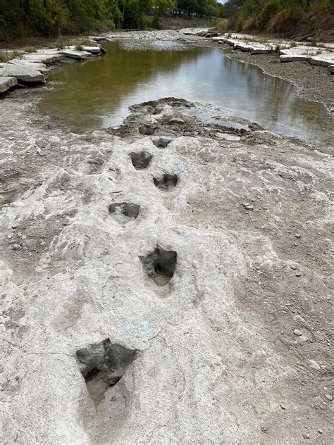 Dinosaur Tracks Discovered In Texas After Drought Dries Up River