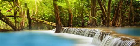 Searching for free images is a breeze. Royalty Free Nature Sounds | Enlightened Audio