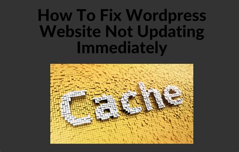 How To Fix Wordpress Website Not Updating Immediately Ltheme