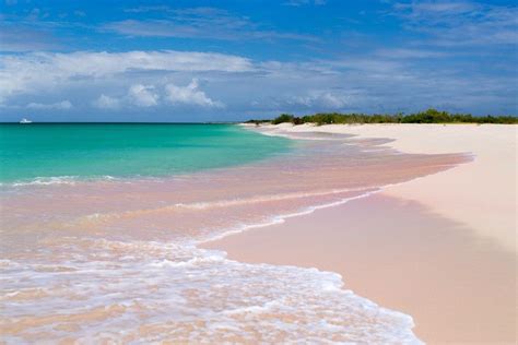 Pink Sand Beach Barbuda Tropical Beach Resorts Tropical Beach Houses