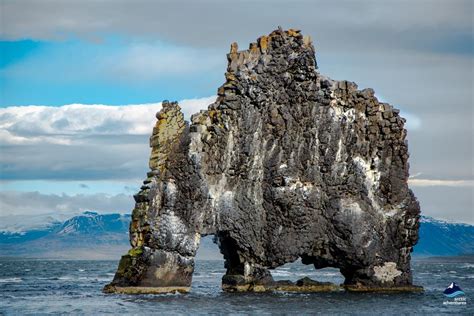 Hvítserkur Icelands Rhino Rock Arctic Adventures
