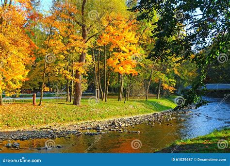 Golden Autumn By The River Stock Image Image Of Landscape 61029687