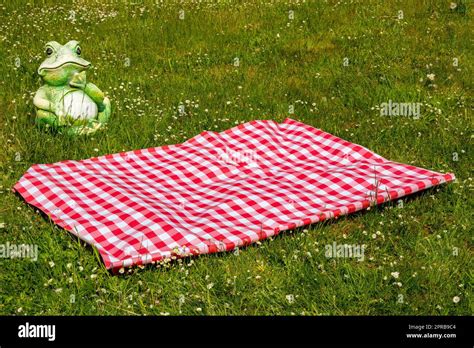 Red And White Picnic Blanket