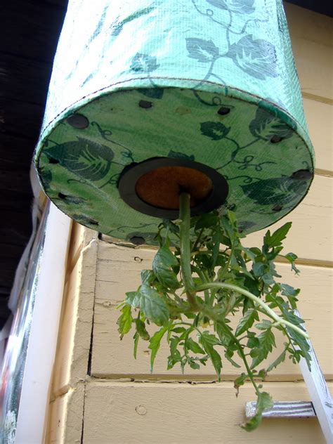 How To Make Your Own Homemade Topsy Turvy Garden Planter Hubpages