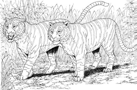 Tiger Animal Coloring Pages Coloring Home