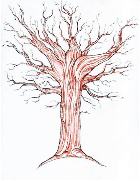 Jak Narysować Drzewo Spadek W Etapach