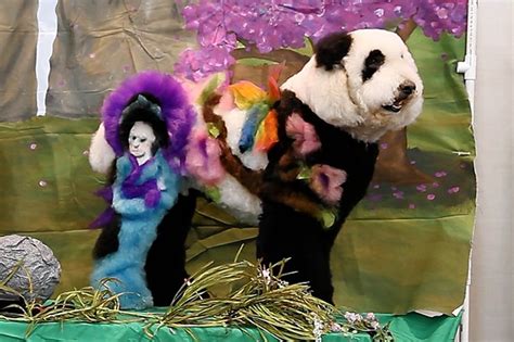 Fur Flies At Contests That Turn Pooches Into Zombies Pandas Cows Wsj