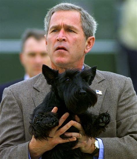 Barney Bush Dead George W Bushs Dog Dies At 12 Huffpost Scottish