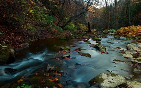 Autumn Leaves In The Mystic Mountain River Wallpaper