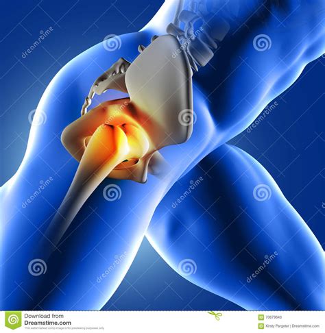 3D Blue Medical Image Of Hip Joint Stock Illustration - Illustration of ...