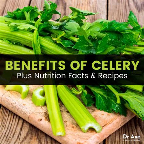 10 Benefits Of Celery Nutrition Facts And Recipes Dr Axe