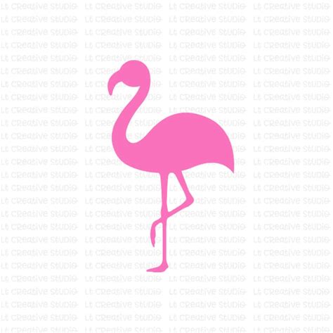 Flamingo Svg Flamingo Silhouettet Zoo Svg Animal Svg Beach Etsy