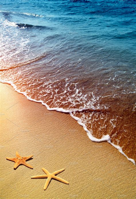 Starfish On A Beach Sand High Quality Nature Stock Photos ~ Creative
