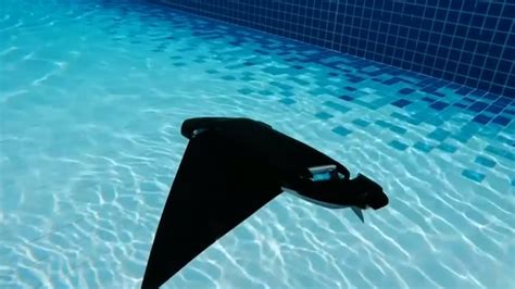 Manta Ray Inspires Underwater Robot