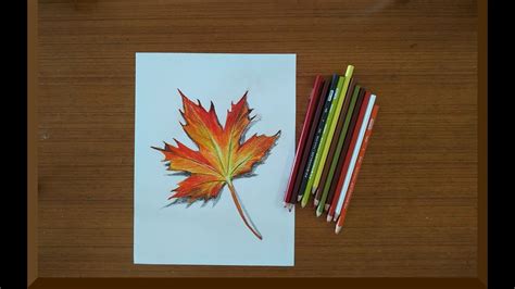 Maple Leaf Color Pencil Drawing Youtube