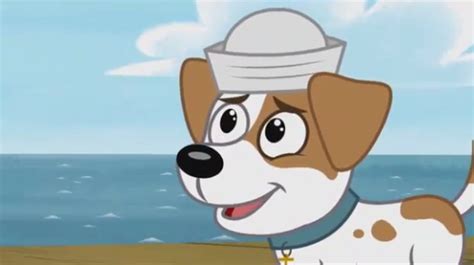 Several episodes have the pound puppies and kennel kittens learning that the. Pound Puppies 2010 Wiki | Fandom
