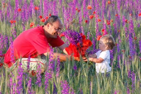 Father Presenting Flowers To Daughter Stock Photo Image Of Nature