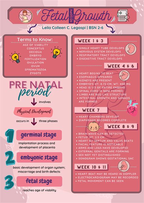 Solution Nursing Care Of Fetus Infographic Studypool