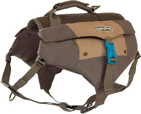 The 21 Best Dog Packs Your Pup Can Carry On Your Next Adventure