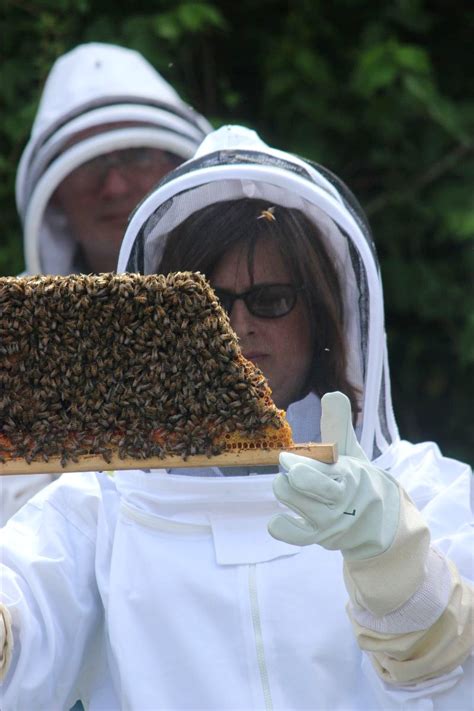 Backyard Beekeepers Sustainable Berea