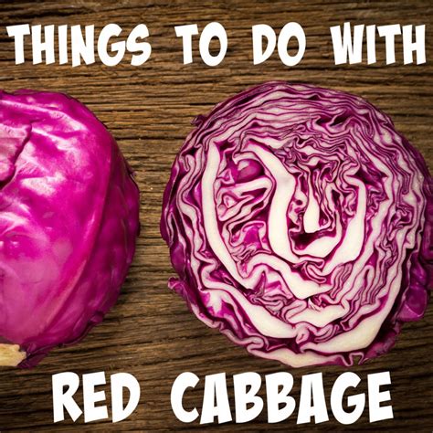 Red Cabbage Experiments