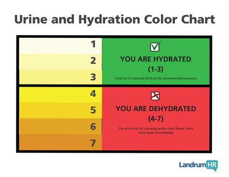 Printable Hydration Chart Urine Color