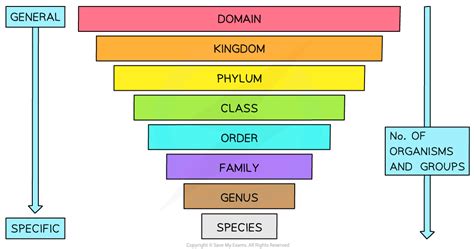 The Three Domains 4 1 5 Edexcel GCSE Biology Revision Notes 2018