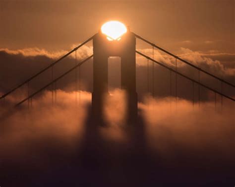 These Bay Area Fog Photos Are Magical