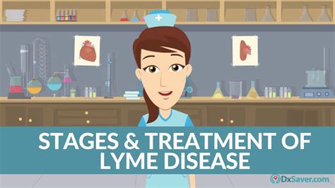 Stages And Treatment Of Lyme Disease Youtube