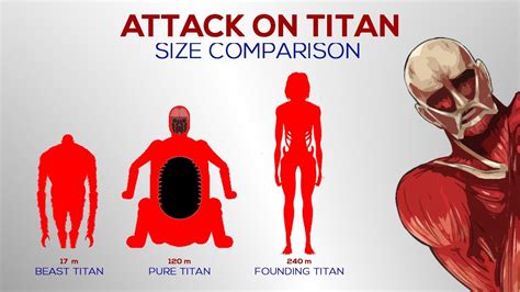 Attack On Titan Size Comparison 2021 Final Chapter All Titans In