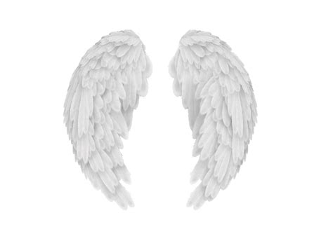 White Angel Wings Png Transparent Image Download Size 1280x904px